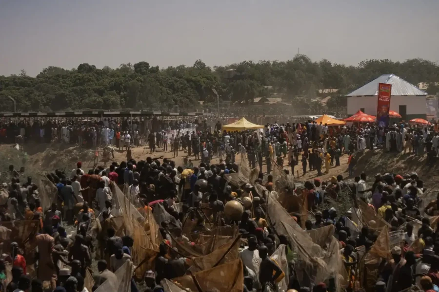 🪇Argungu Fishing (Nigeria)