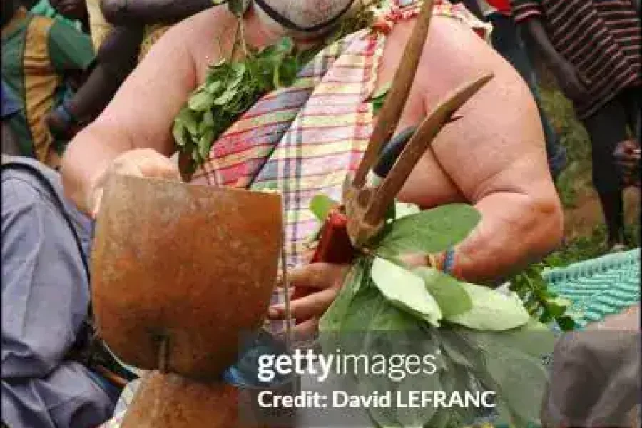 🪇Bijagós Archipelago Festival (Guinea-Bissau)