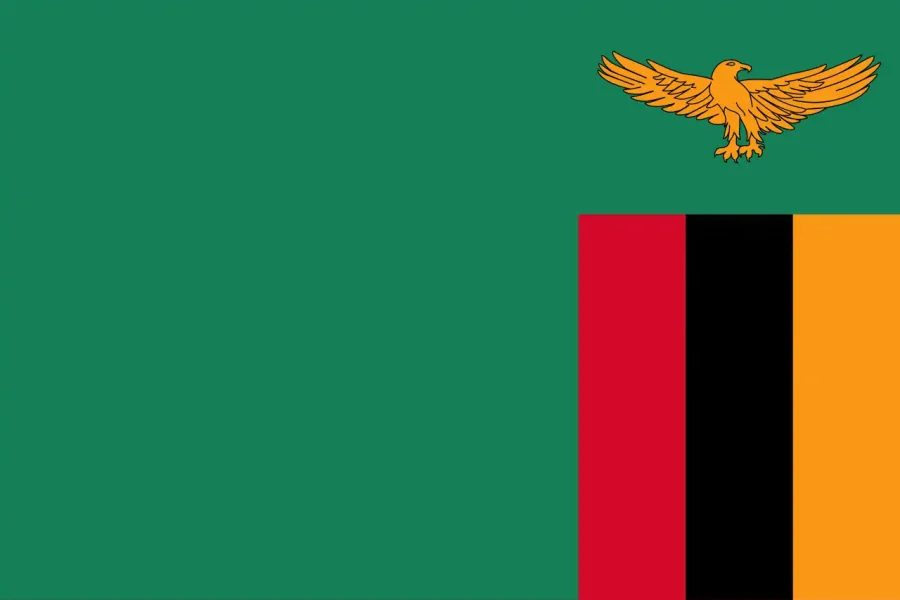 🪇Chibwela Kumushi Ceremony (Zambia)