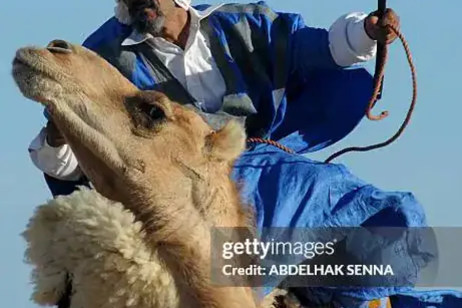 🪇Dakhla Festival (Morocco)