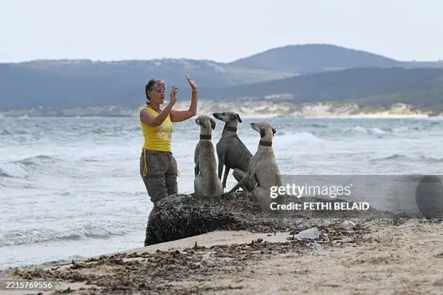 🪇Festival of the Sea in Bizerte (Tunisia)