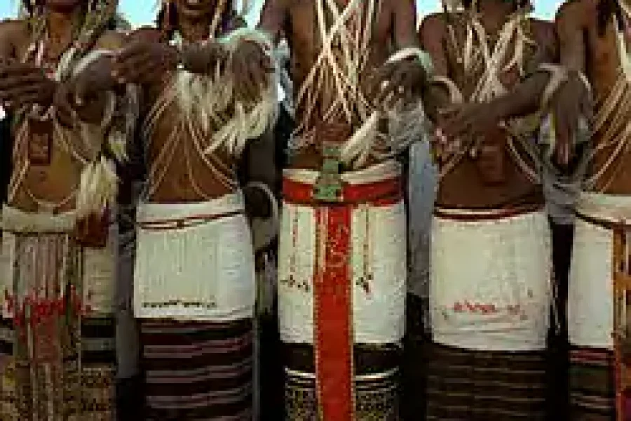 🪇Gerewol Festival (Niger)
