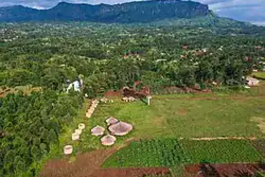 🪇Imbalu Circumcision Ceremony (Uganda)
