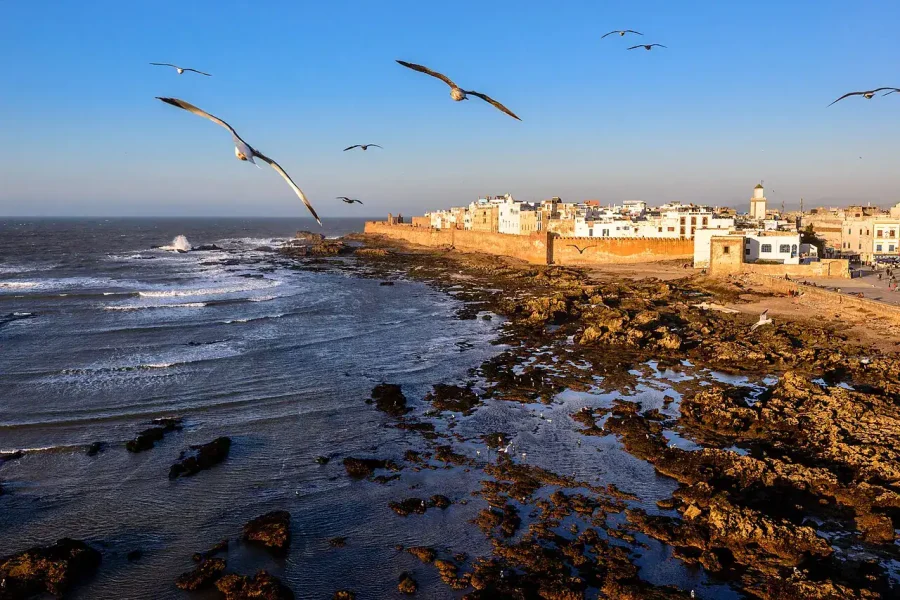 🪇Moussem of Sidi Ali Ben Hamdouch (Morocco)
