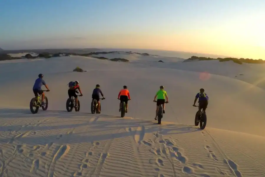 🕓Fatbike Dune tours in the Walker Bay nature reserve
