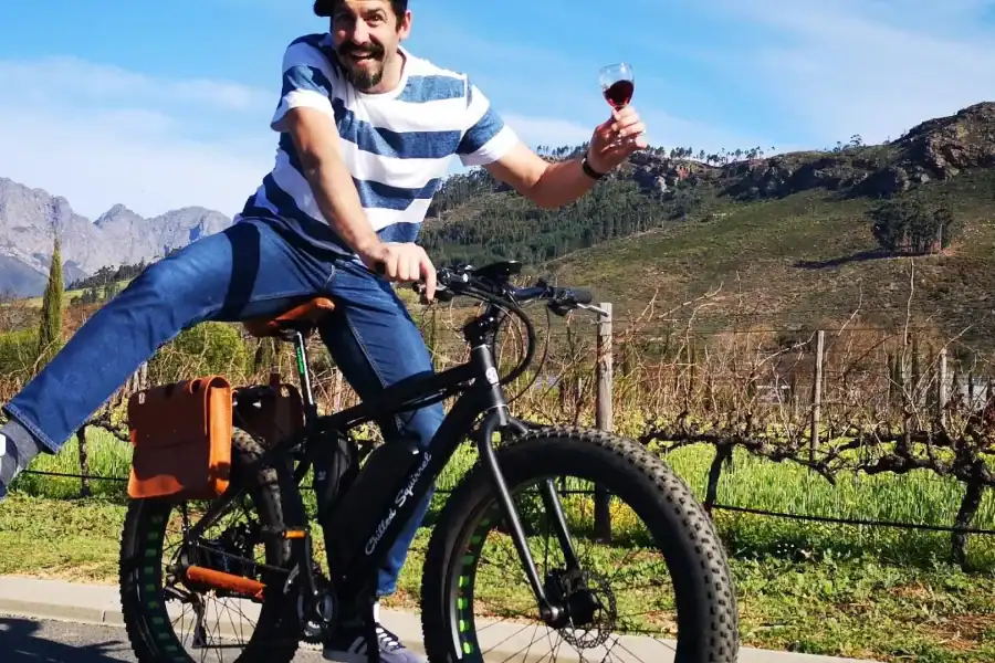 🕓Franschhoek: E-Bike Guided Winery Tour