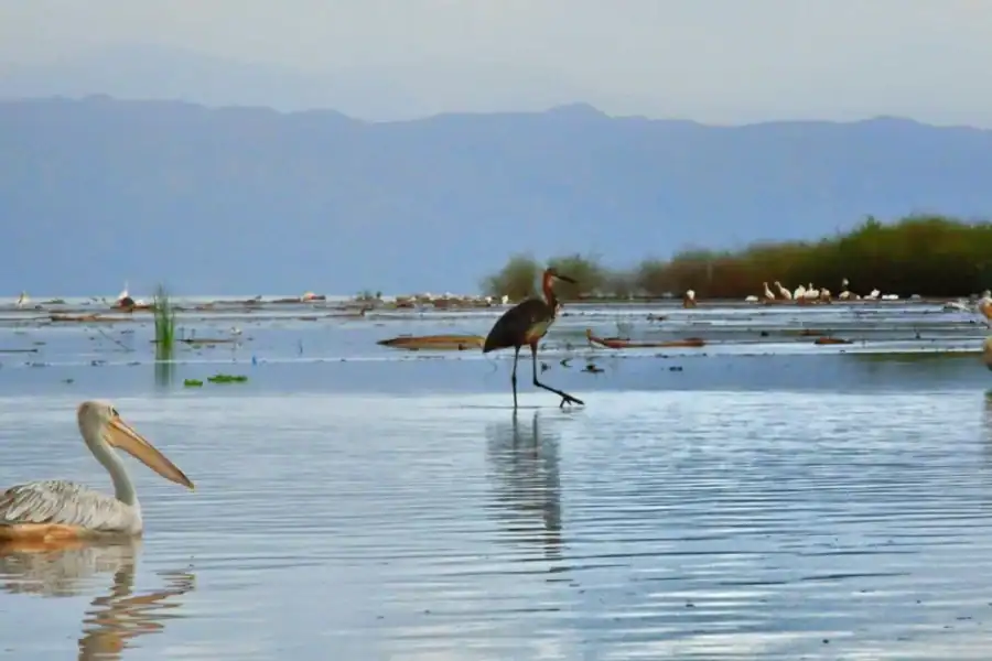 🕓From Addis Ababa: 10-Day Omo Valley and Rift Valley Tour