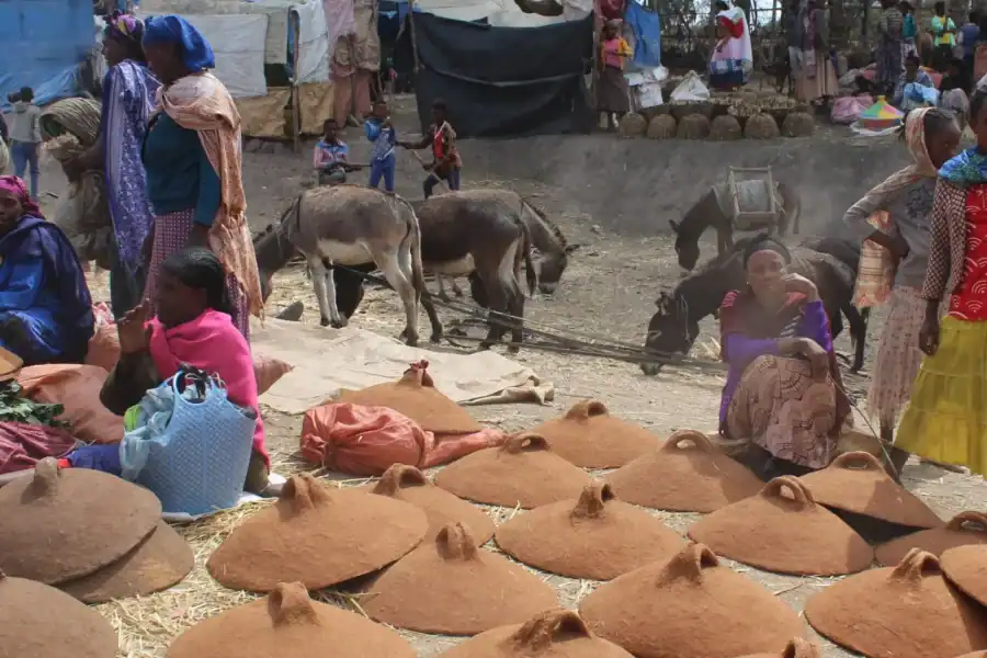 🕓From Addis Ababa: Adadi Mariam Church& Market Day Tour