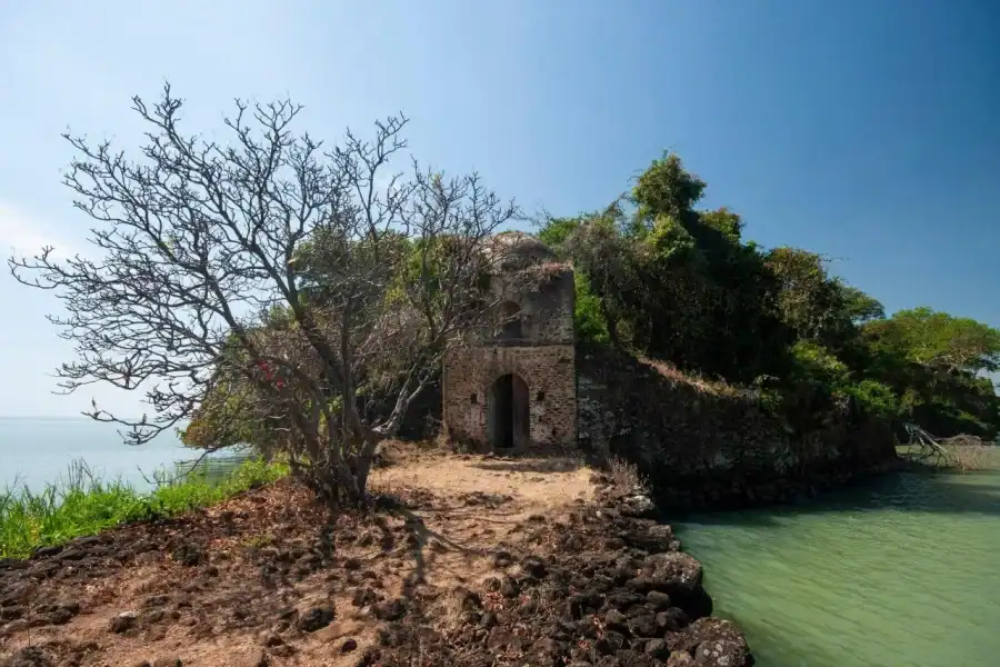 🕓From Addis Ababa: Ethiopia Guided Cultural Tour with Flights