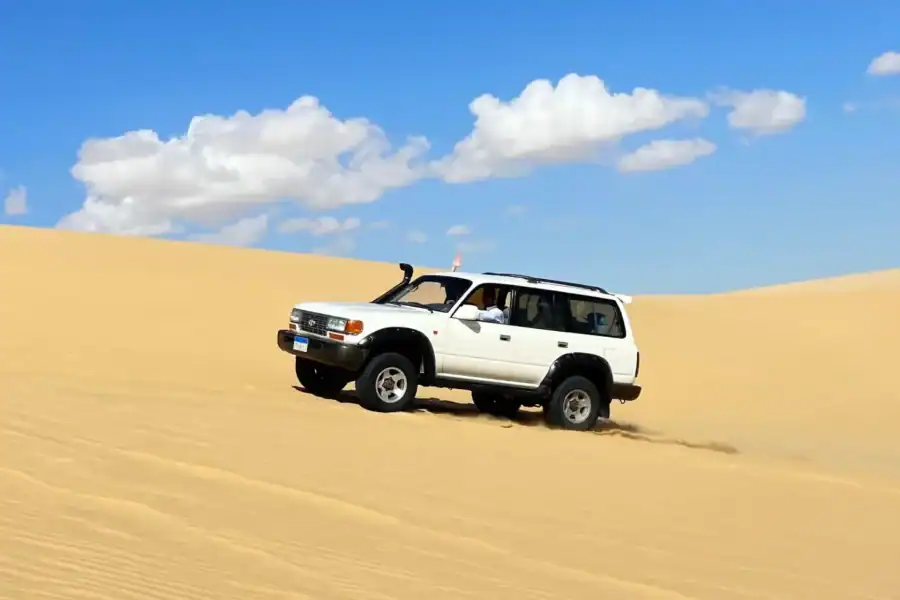 🕓From Cairo: Desert Safari, Camel Ride, Magic Lake, Lunch