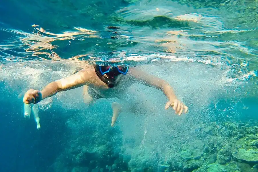 🕓From Cairo: Snorkeling Trip on Yacht with Lunch