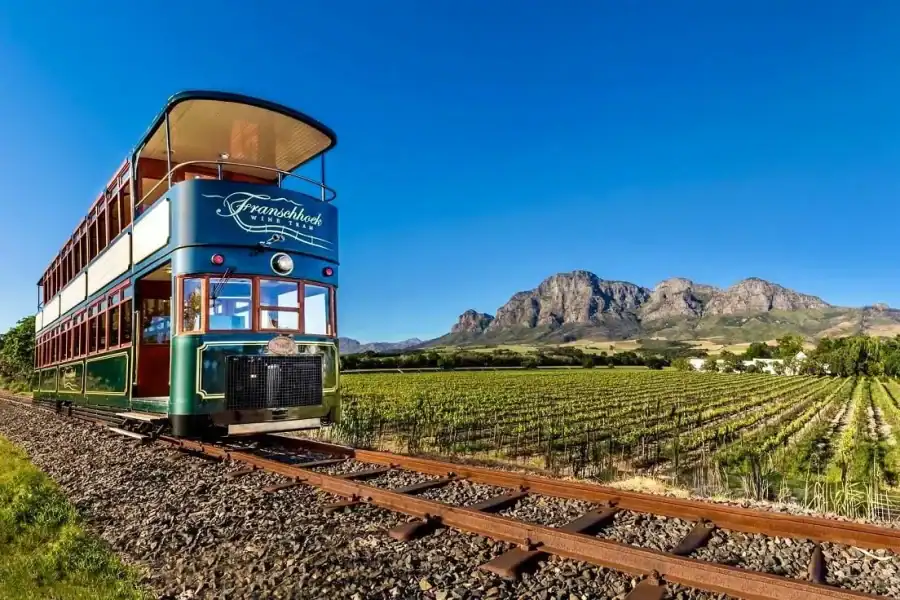 🕓From Cape Town to Winelands Full Day Tour and Wine Tasting