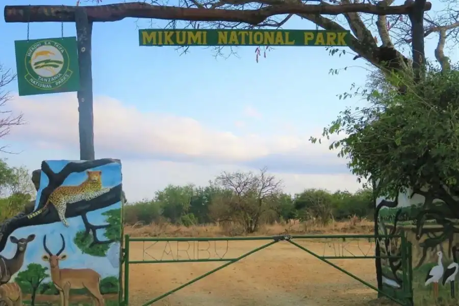 🕓From Dar es Salaam: Mikumi National Park Day Trip
