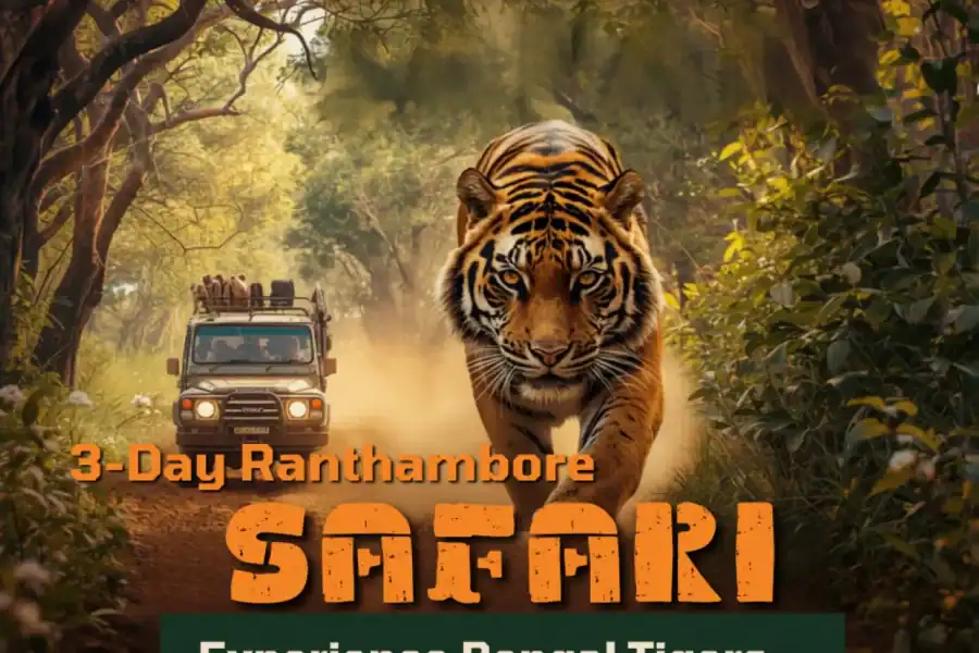🕓From Delhi: 3-Day Ranthambore Safari Adventure Tour
