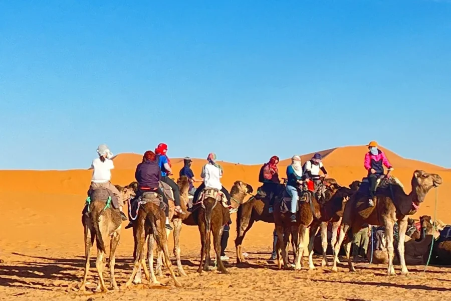 🕓From Fez: 3-Day Luxury tour to Marrakech via Merzouga
