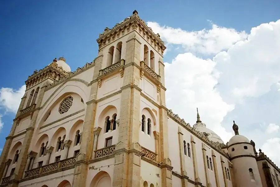 🕓From Hammamet : Carthage& Sidi Bousaid half day guided tour
