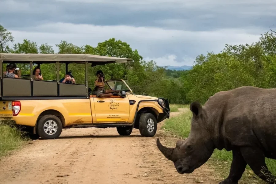🕓From Hazyview: Kruger National Park Full-Day Safari
