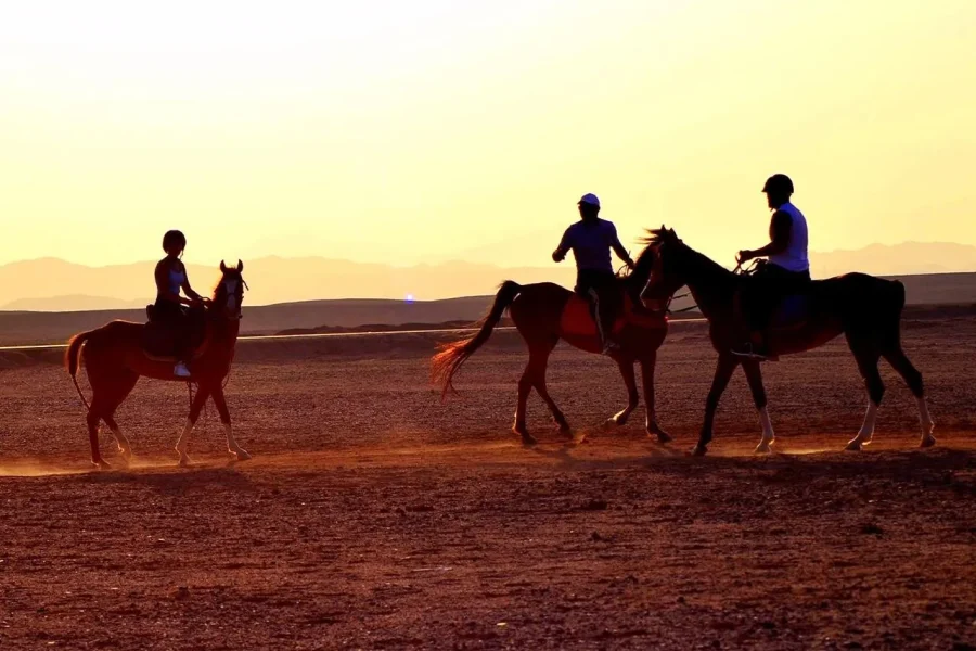 🕓From Hurghada: Makadi Bay Horse Riding Tour
