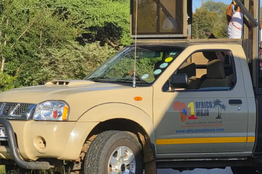 🕓Kruger National Park 3 Days Best Ever Safari from Cape Town
