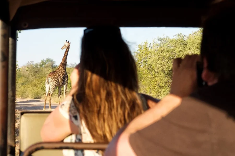 🕓From Johannesburg: 3-Day Budget Tent Kruger Park Safari