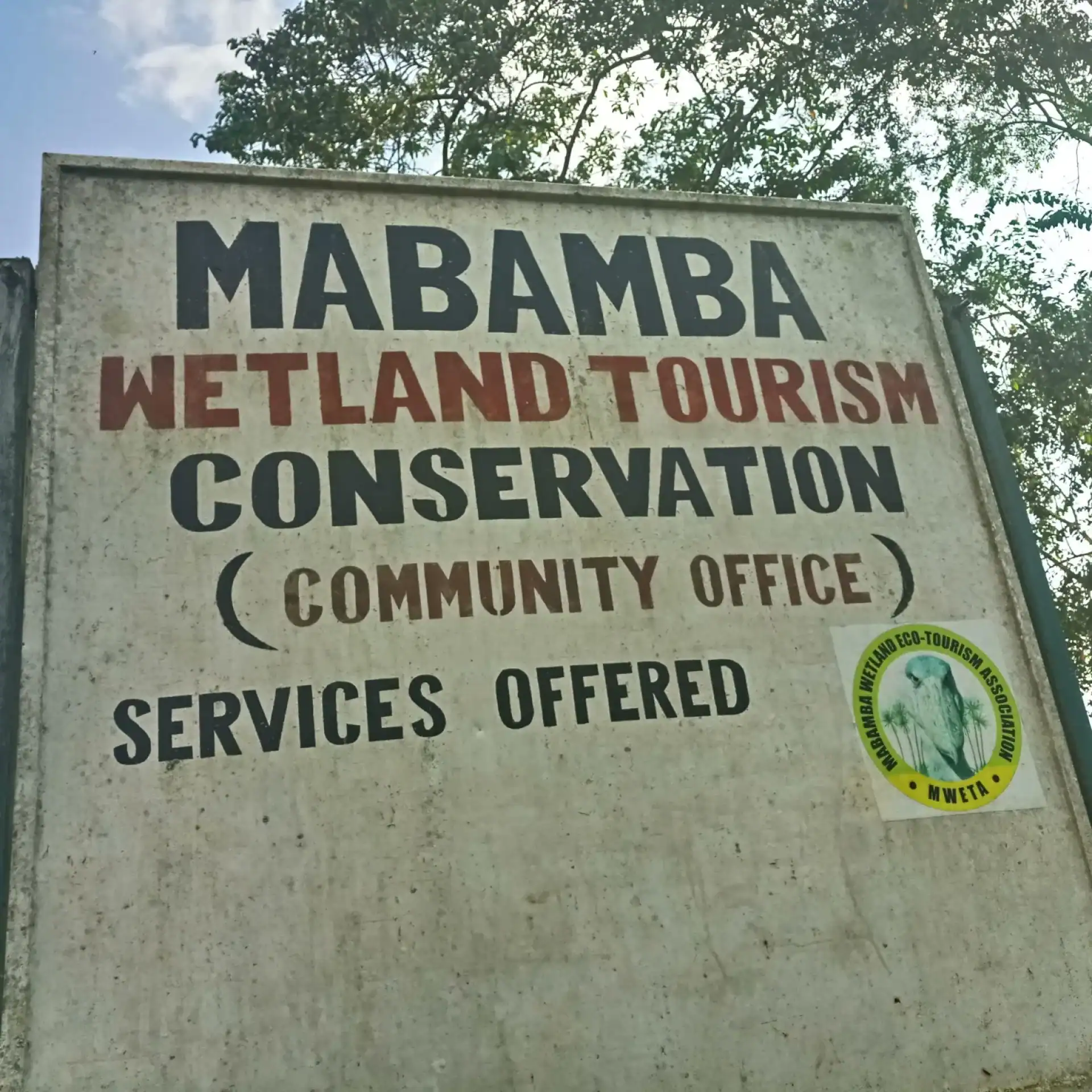🕓From Kampala: Mabamba Swamp Birding Half-Day Tour