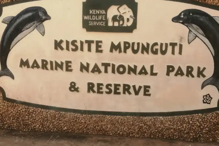 🕓From Kwale: Kisite Mpunguti Marine National Park Tour