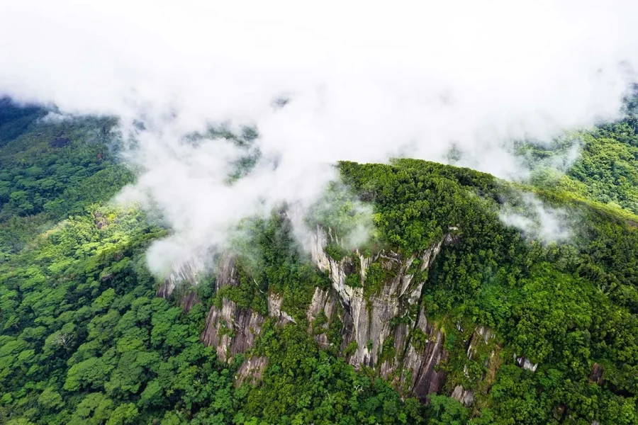 🕓From Mahe: Guided Nature Trail Walk to Morne Blanc