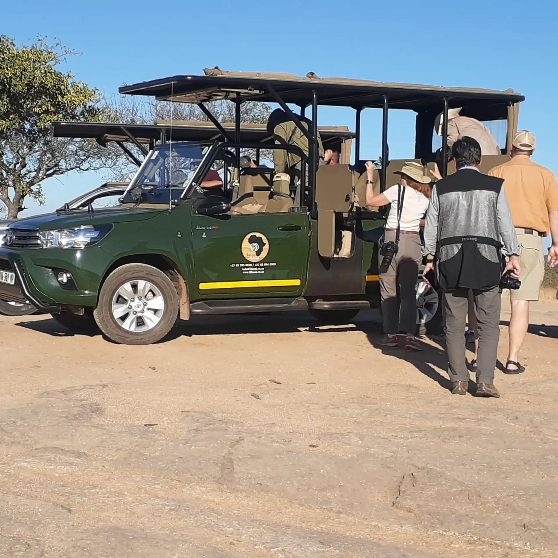 🕓From Malelane: Kruger National Park Full-Day Safari