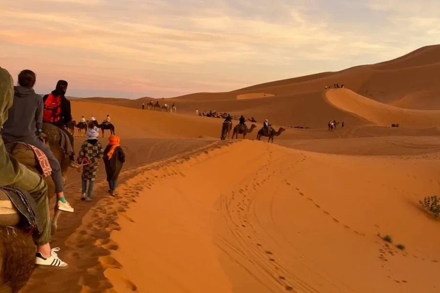 🕓From Marrakech: 2 Days Desert trip back to Fes or Marrakech