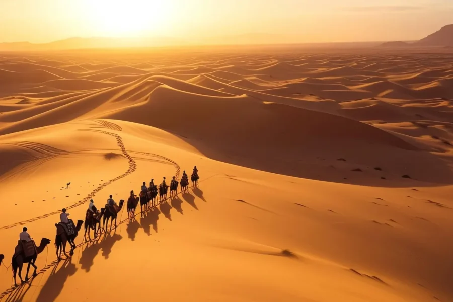 🕓From Marrakech: 3-Day Sahara Desert Adventure to Fes