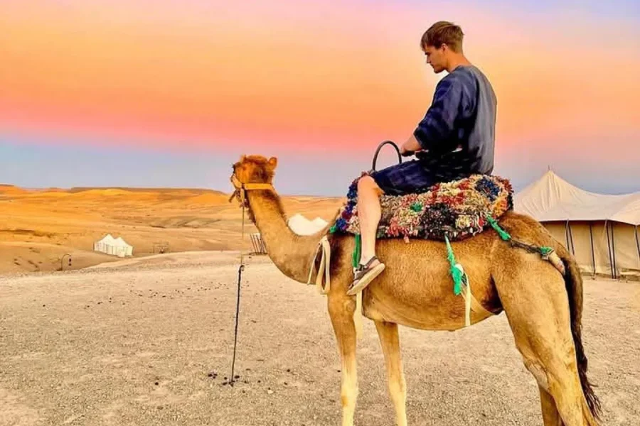🕓From Marrakech: Agafay Desert Dinner with Quad& Camel Ride
