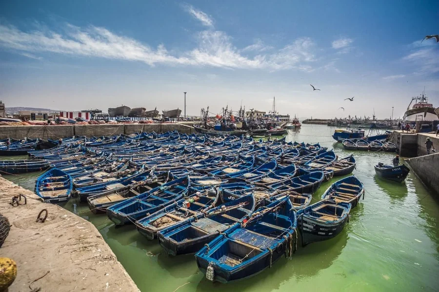 🕓From Marrakesh: Small Group To Essaouira With Opt Activities