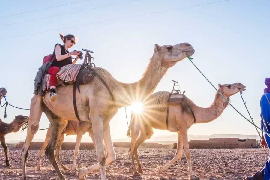 🕓From Marrakesh: Zagora 2-Day Desert Safari with Food& Camp