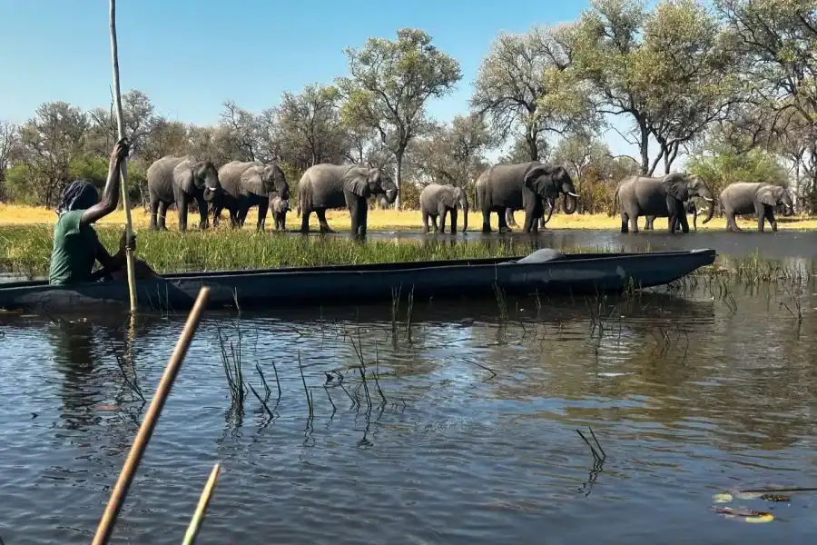 🕓From Maun: Okavango Delta Mokoro Day Trip with Nature Walk