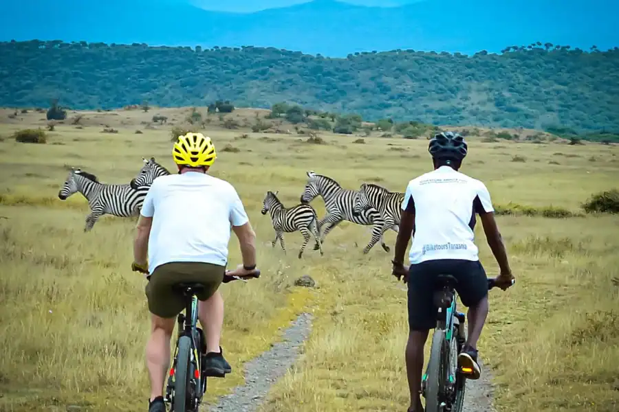 🕓From Moshi: West Kilimanjaro Mountain Biking Tour