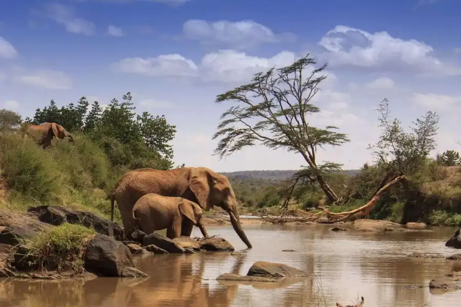 🕓From Nairobi: 3-Day Tour to Samburu National Reserve