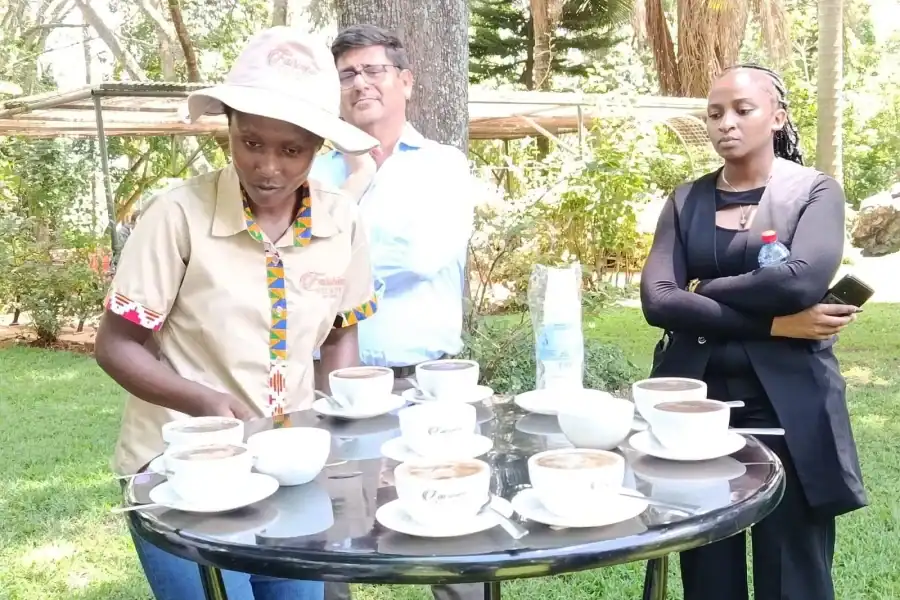 🕓From Nairobi: Coffee Farm and National Archive History Tour
