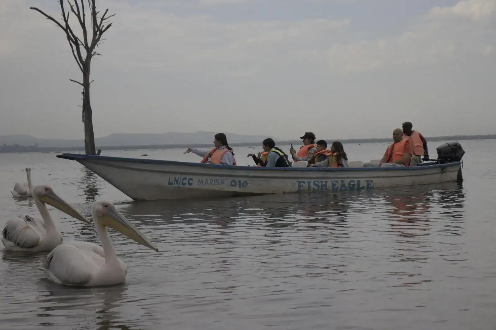🕓From Nairobi: Crescent Island Safari& Horse Riding