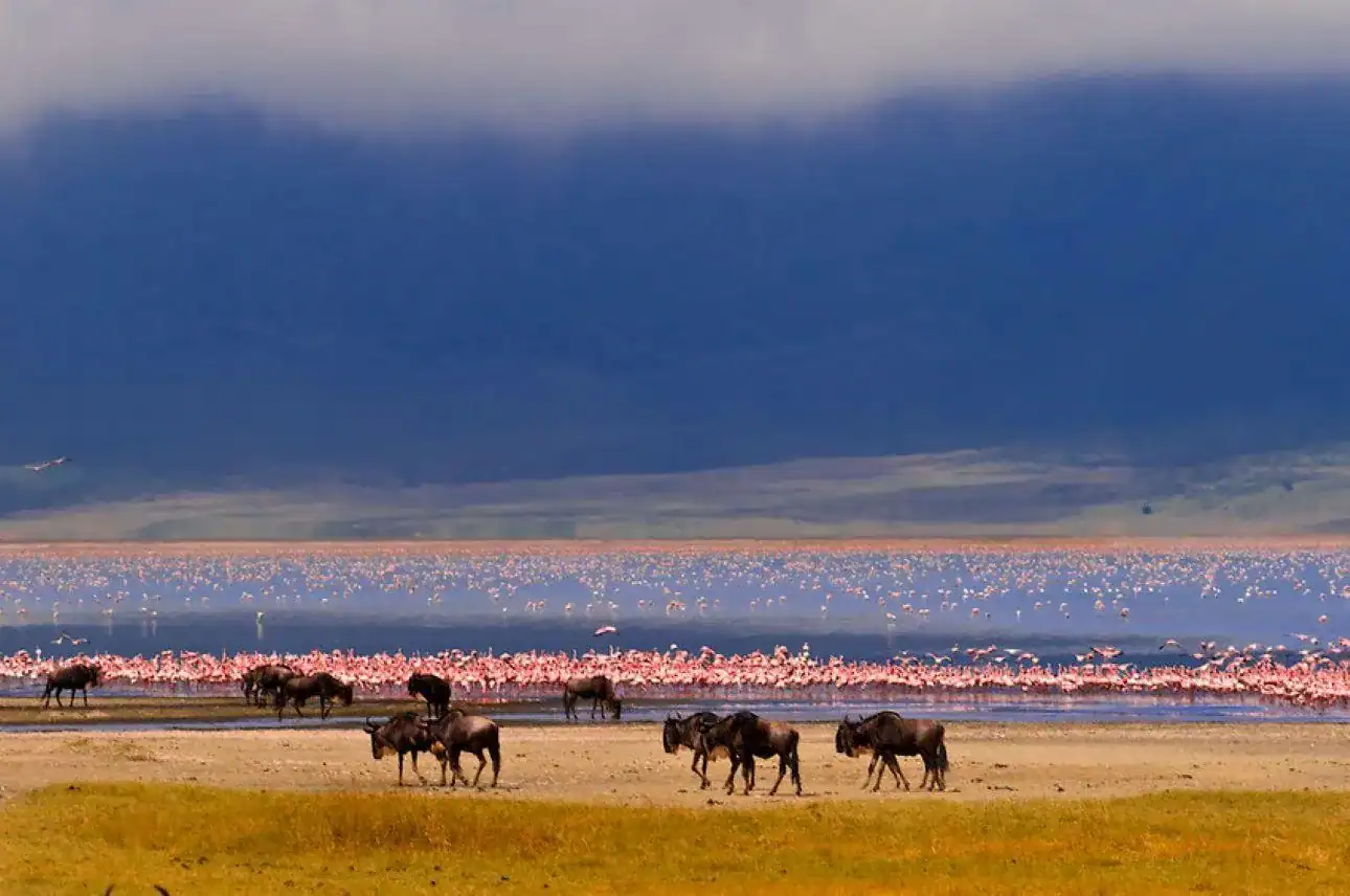 🕓From Nairobi: Lake Magadi 2-Day Trip with Game Drive& Hike