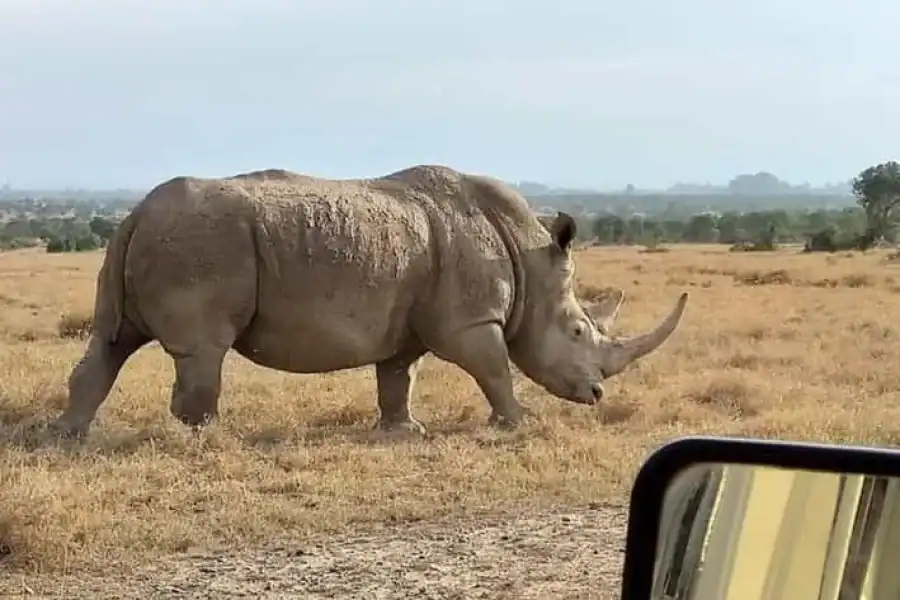 🚸From Nairobi: Mount Kenya Hiking And Safari Tour