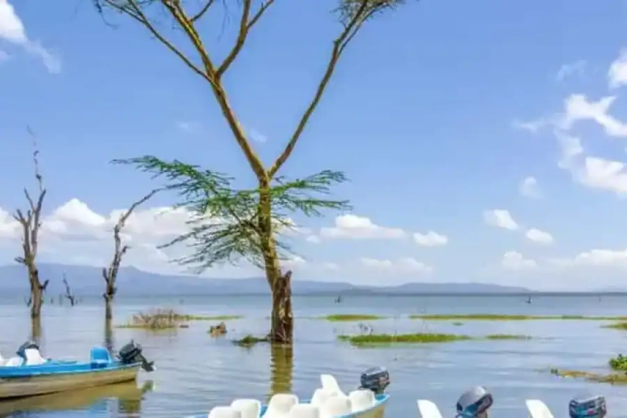 🚸From Nairobi:14 Days Maasai Mara, Serengeti And Zanzibar