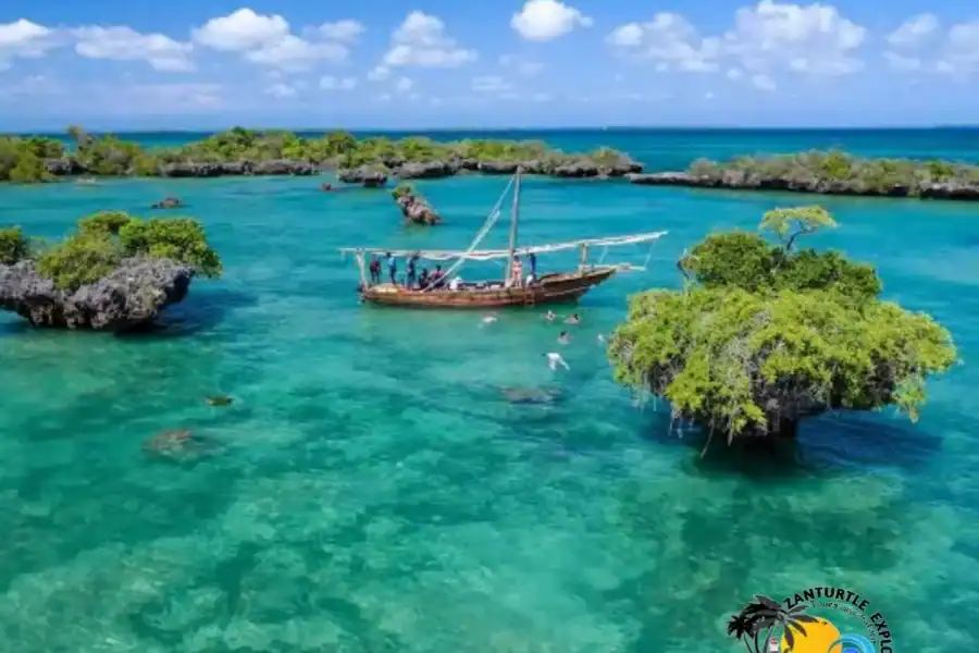 🕓From Nungwi/Kendwa: Safari Blue Trip with Lunch& Sandbank