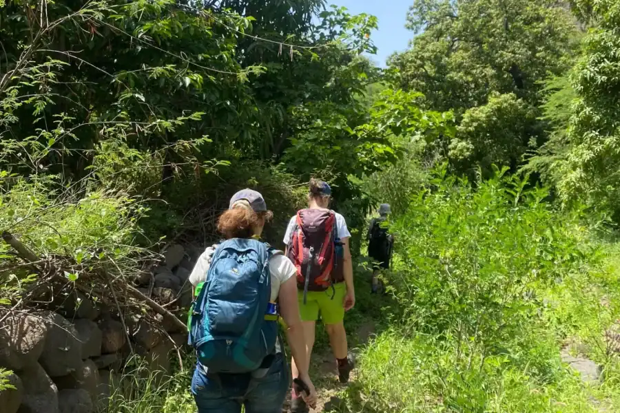 🕓From Praia: Hike in Rui Vaz Natural Park – Longueira
