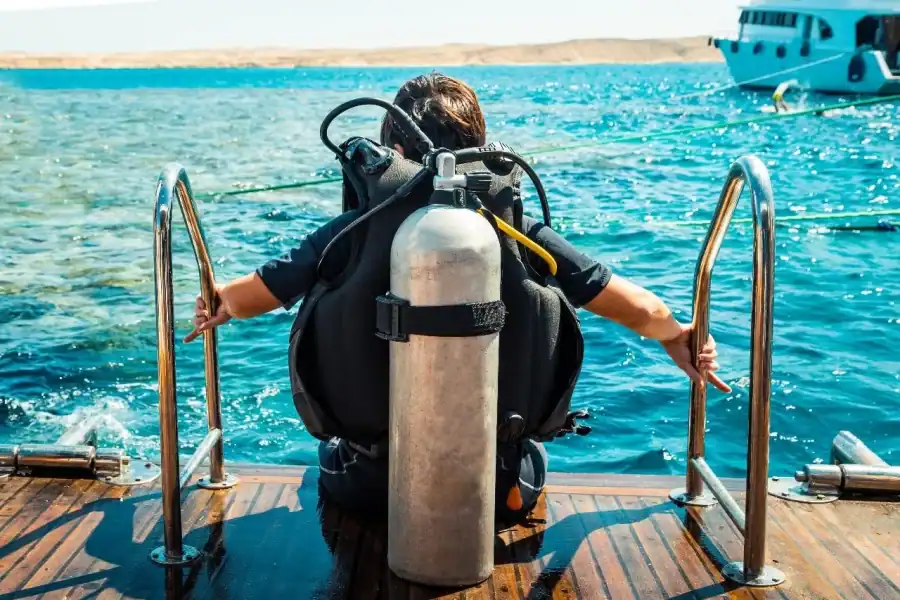 🕓From Sharm: Luxury Diving cruise to Ras Mohammed with Lunch