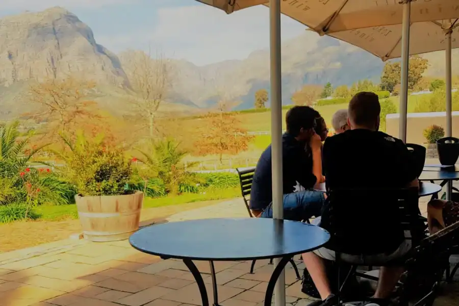 🕓From Stellenbosch: Hop-On Hop-Off Wine Tour Southern Route