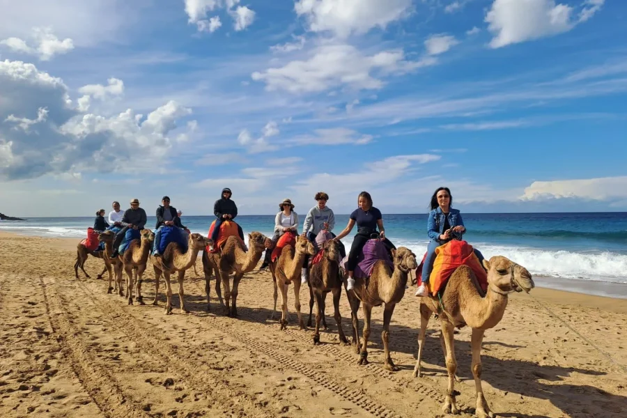 🕓From Tangier: Cap Spartel and Hercules Cave with Camel Ride