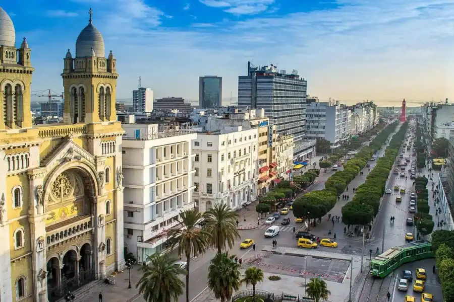 🕓From Tunis: Bardo Museum, El-Zitouna mosque, and Medina