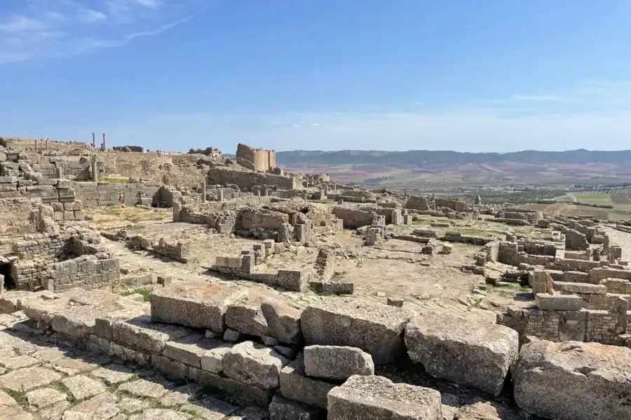 🕓From Tunis/Hammamet: Dougga and Bulla Regia via Testour Tour