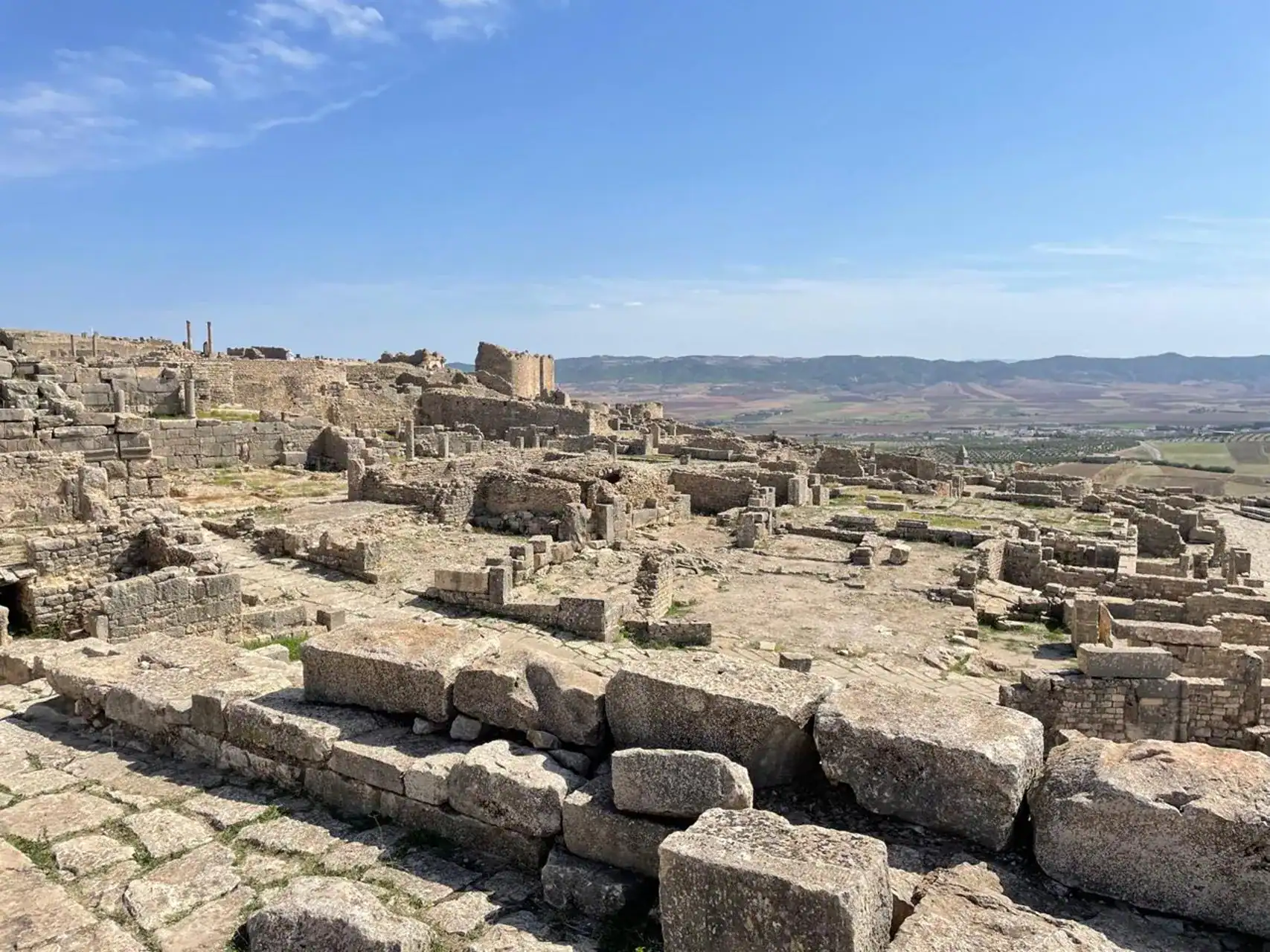 🕓From Tunis/Hammamet: Dougga and Bulla Regia via Testour Tour