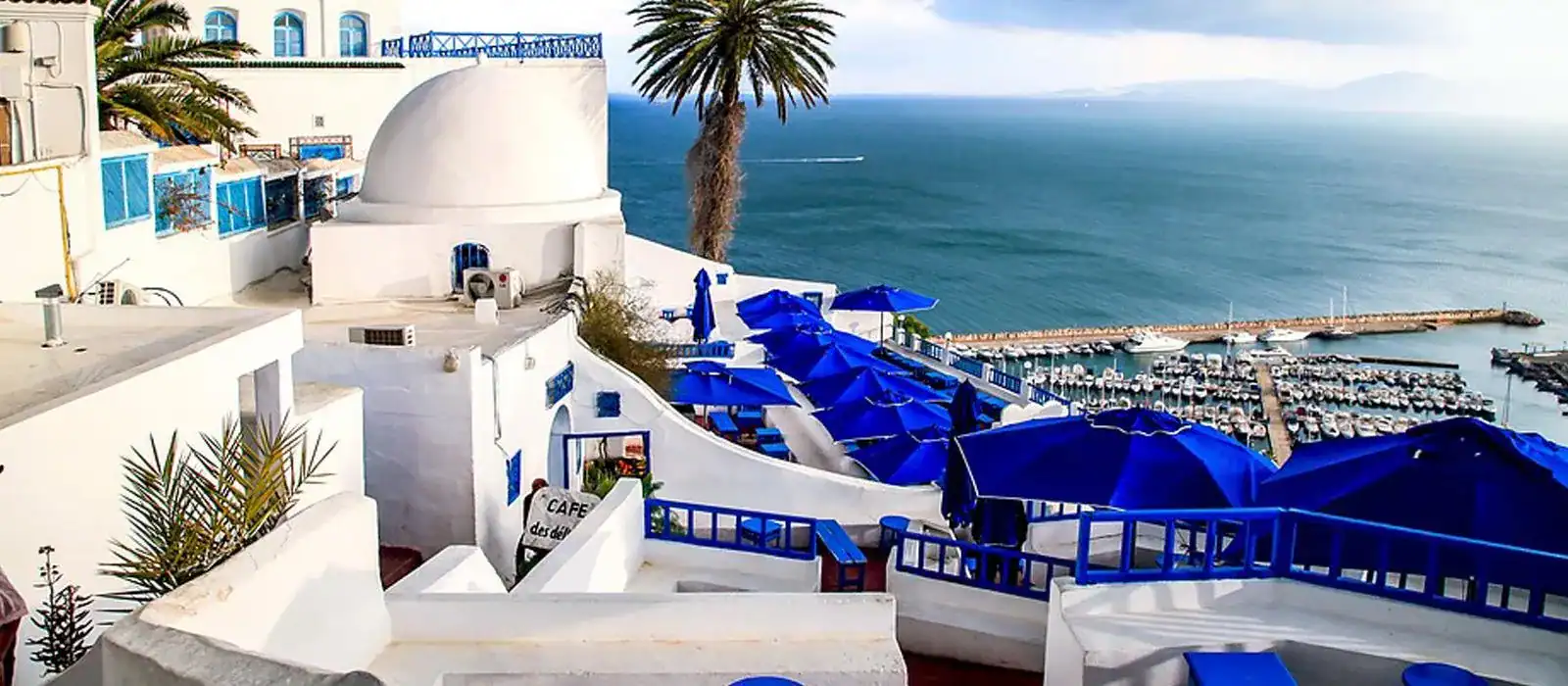 🕓The Grand Tour of Tunisia: A Local Immersion between Sea and Desert